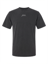 Unisex Bio-T-Shirt – No Blue No Green No Life  – Oversized